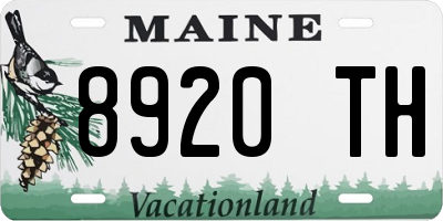 ME license plate 8920TH