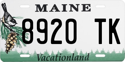 ME license plate 8920TK