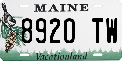 ME license plate 8920TW