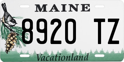 ME license plate 8920TZ