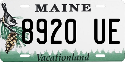 ME license plate 8920UE