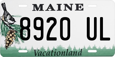 ME license plate 8920UL