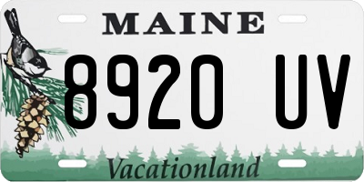 ME license plate 8920UV