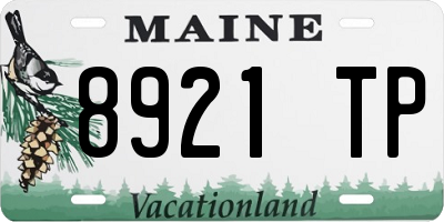 ME license plate 8921TP