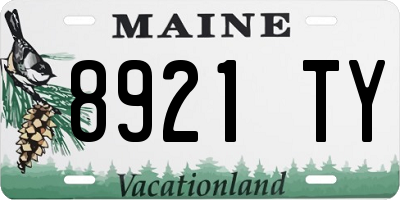 ME license plate 8921TY