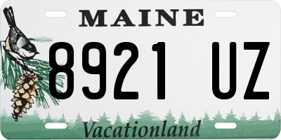 ME license plate 8921UZ