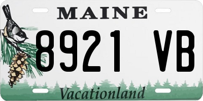 ME license plate 8921VB