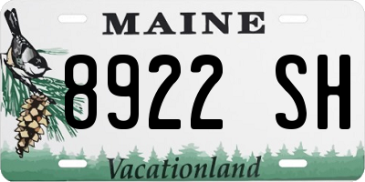 ME license plate 8922SH