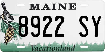 ME license plate 8922SY