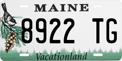 ME license plate 8922TG