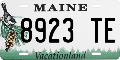 ME license plate 8923TE
