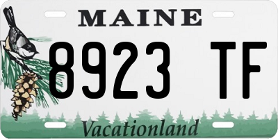 ME license plate 8923TF