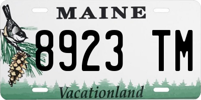 ME license plate 8923TM