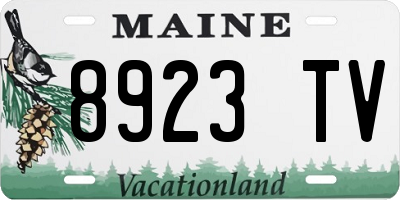 ME license plate 8923TV