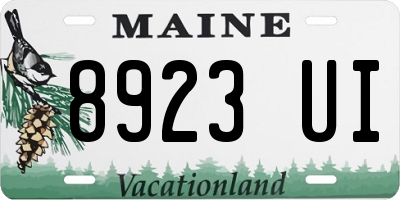 ME license plate 8923UI