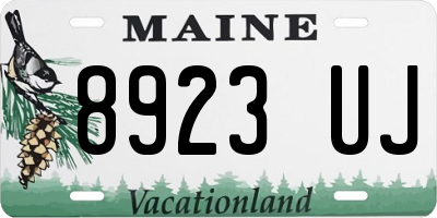 ME license plate 8923UJ