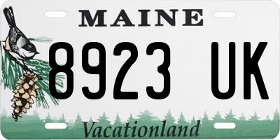 ME license plate 8923UK