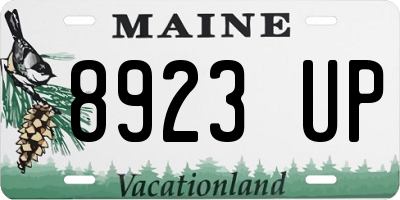ME license plate 8923UP