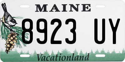 ME license plate 8923UY