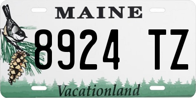 ME license plate 8924TZ