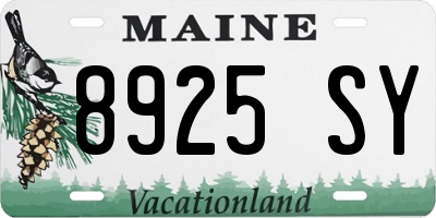 ME license plate 8925SY