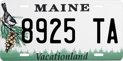 ME license plate 8925TA