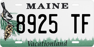 ME license plate 8925TF