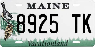 ME license plate 8925TK
