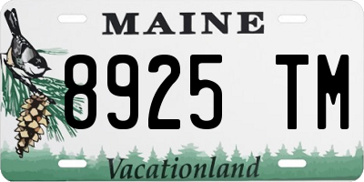 ME license plate 8925TM