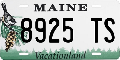 ME license plate 8925TS