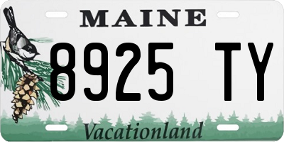 ME license plate 8925TY