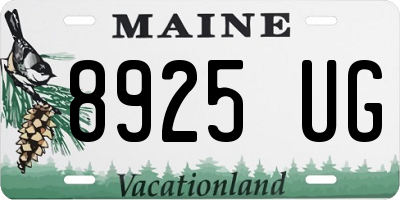 ME license plate 8925UG