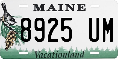ME license plate 8925UM