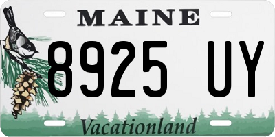 ME license plate 8925UY