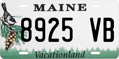ME license plate 8925VB