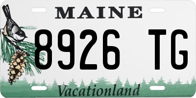 ME license plate 8926TG