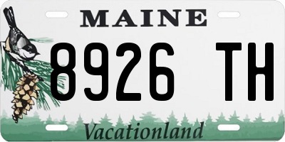 ME license plate 8926TH