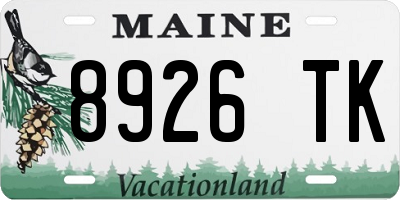 ME license plate 8926TK