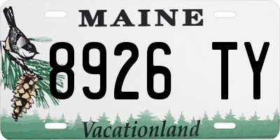 ME license plate 8926TY