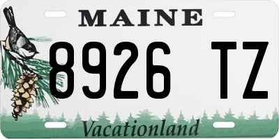 ME license plate 8926TZ