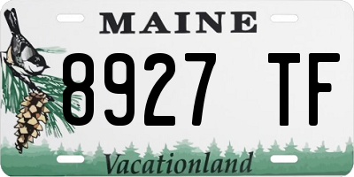ME license plate 8927TF