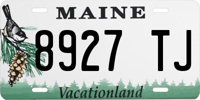 ME license plate 8927TJ