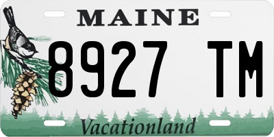 ME license plate 8927TM