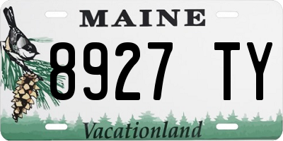 ME license plate 8927TY