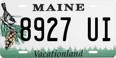 ME license plate 8927UI