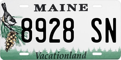 ME license plate 8928SN