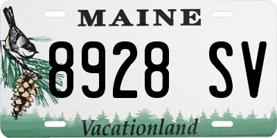 ME license plate 8928SV