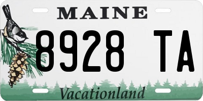 ME license plate 8928TA