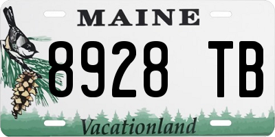 ME license plate 8928TB