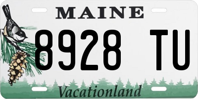 ME license plate 8928TU
